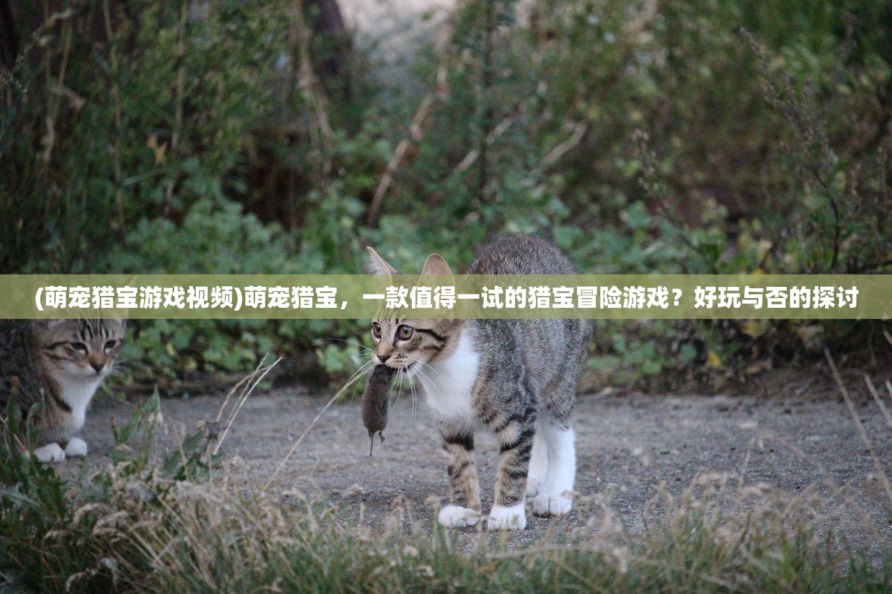 (萌宠猎宝游戏视频)萌宠猎宝，一款值得一试的猎宝冒险游戏？好玩与否的探讨