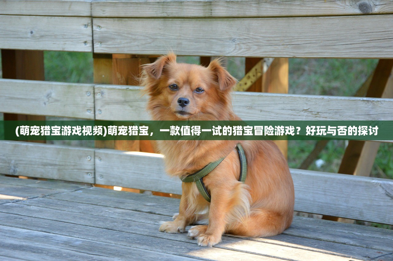 (萌宠猎宝游戏视频)萌宠猎宝，一款值得一试的猎宝冒险游戏？好玩与否的探讨