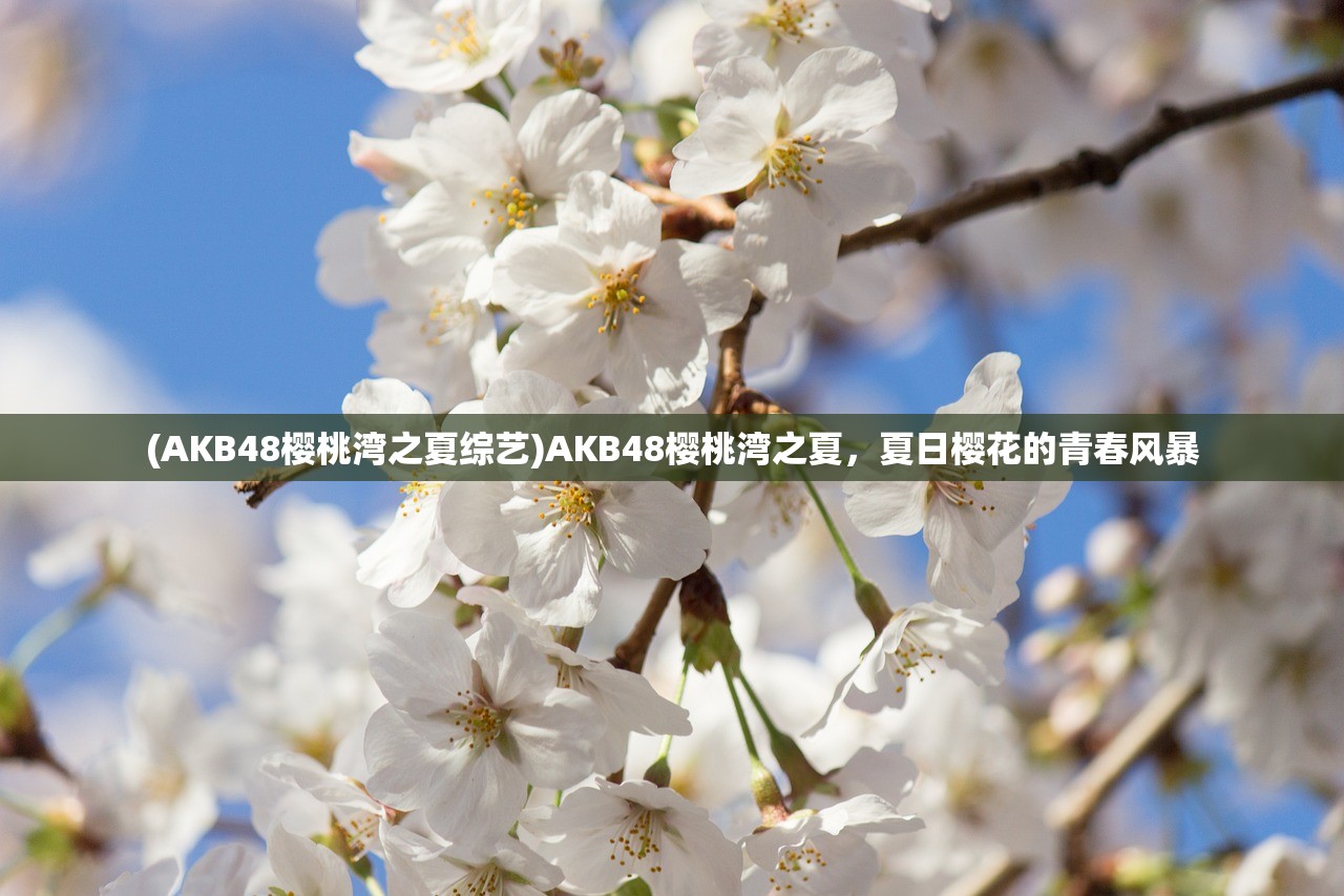 (AKB48樱桃湾之夏综艺)AKB48樱桃湾之夏，夏日樱花的青春风暴
