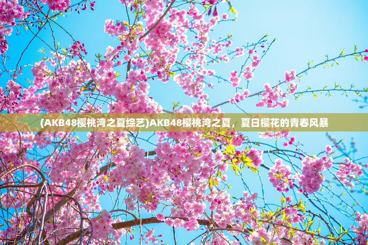 (AKB48樱桃湾之夏综艺)AKB48樱桃湾之夏，夏日樱花的青春风暴