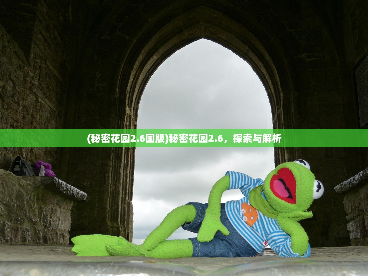 (秘密花园2.6国版)秘密花园2.6，探索与解析