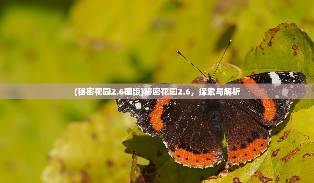(秘密花园2.6国版)秘密花园2.6，探索与解析