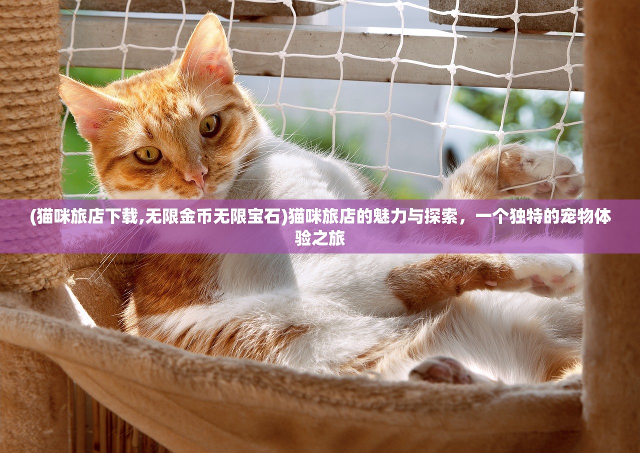 (猫咪旅店下载,无限金币无限宝石)猫咪旅店的魅力与探索，一个独特的宠物体验之旅