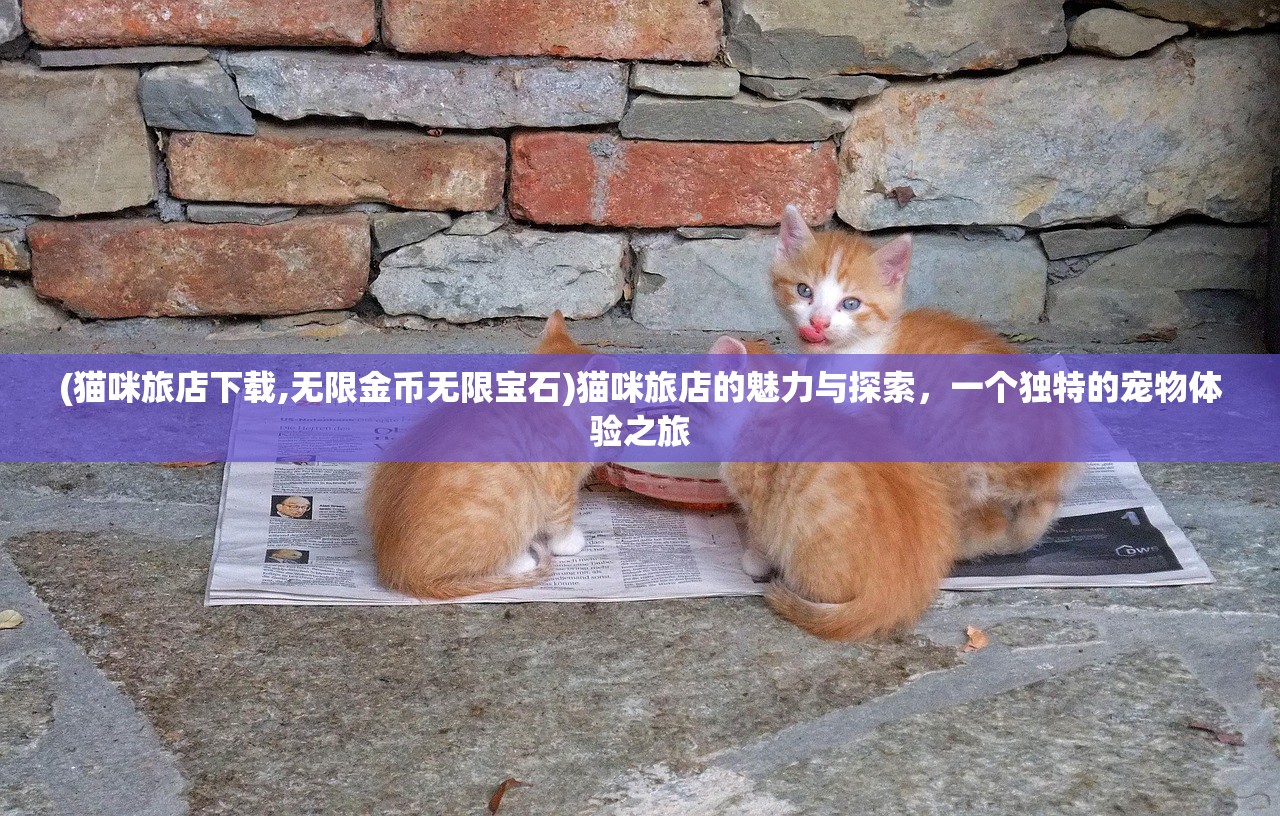 (猫咪旅店下载,无限金币无限宝石)猫咪旅店的魅力与探索，一个独特的宠物体验之旅