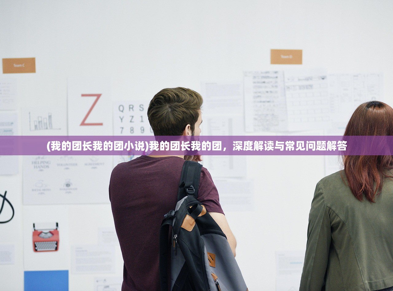 (我的团长我的团小说)我的团长我的团，深度解读与常见问题解答