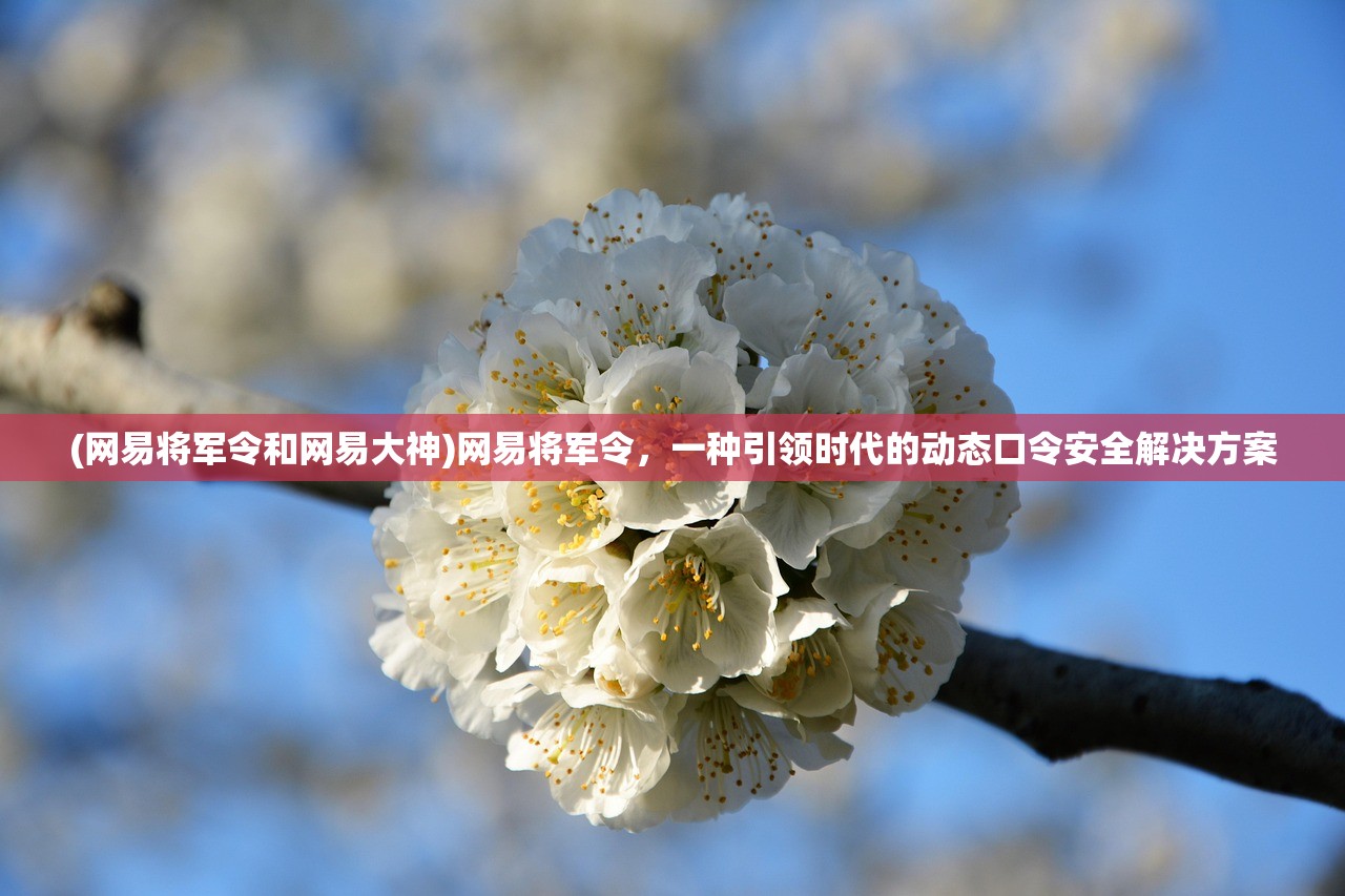 (网易将军令和网易大神)网易将军令，一种引领时代的动态口令安全解决方案