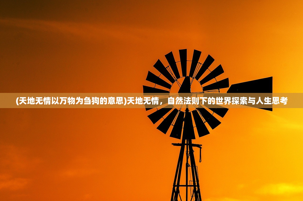 (天地无情以万物为刍狗的意思)天地无情，自然法则下的世界探索与人生思考