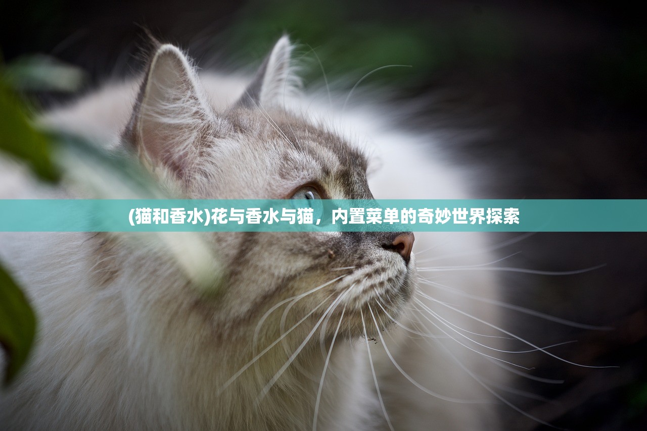(猫和香水)花与香水与猫，内置菜单的奇妙世界探索