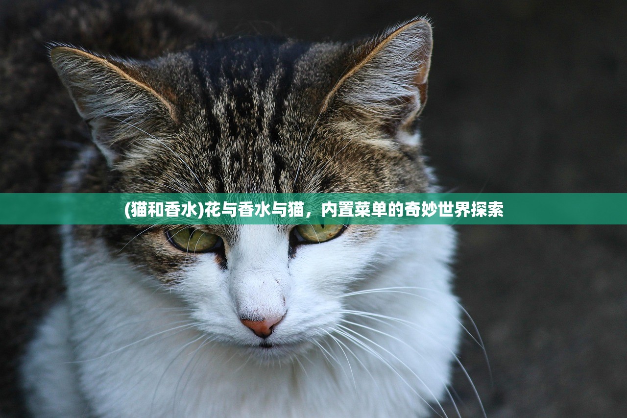 (猫和香水)花与香水与猫，内置菜单的奇妙世界探索
