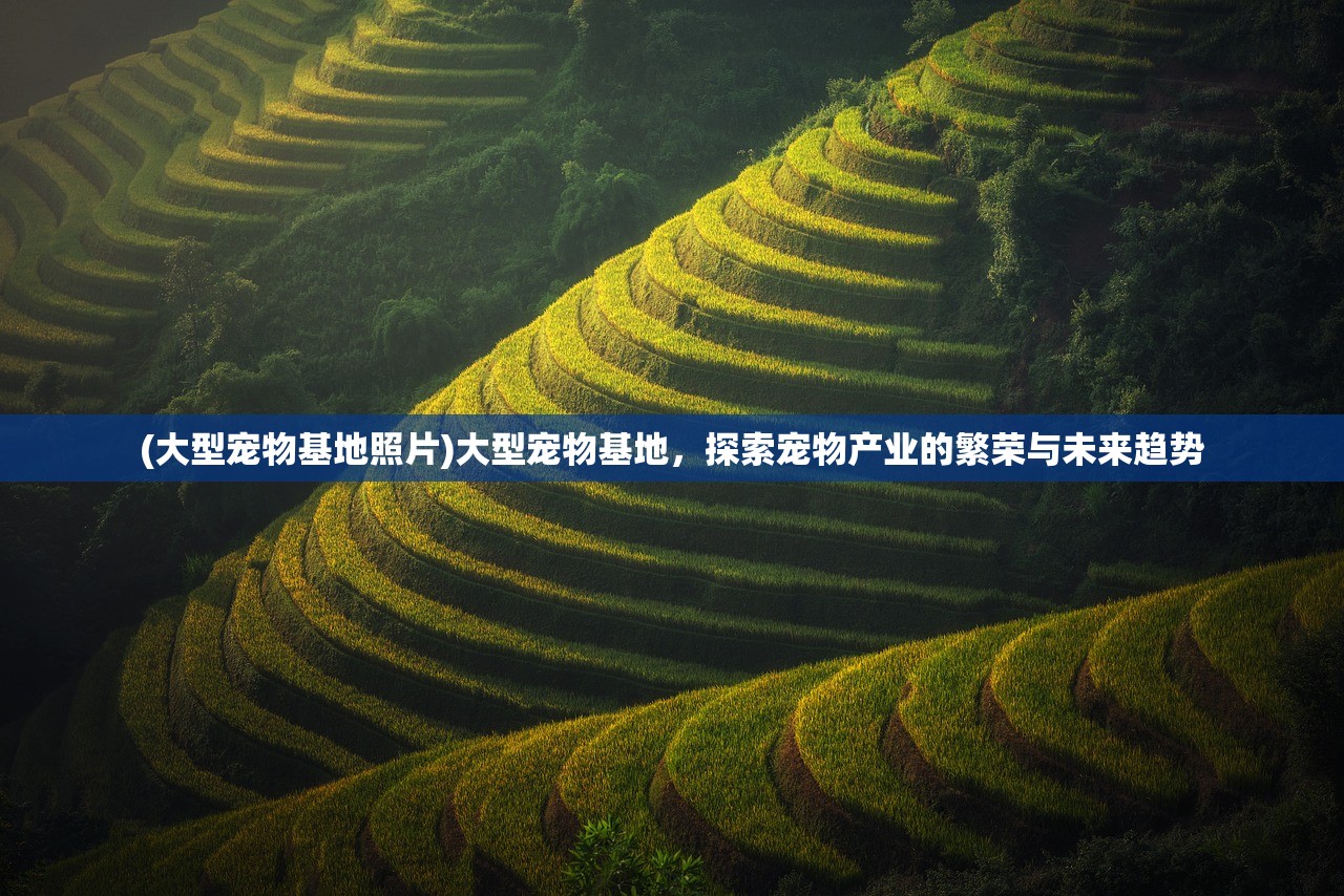 (大型宠物基地照片)大型宠物基地，探索宠物产业的繁荣与未来趋势