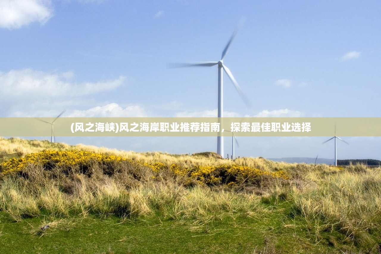 (风之海峡)风之海岸职业推荐指南，探索最佳职业选择