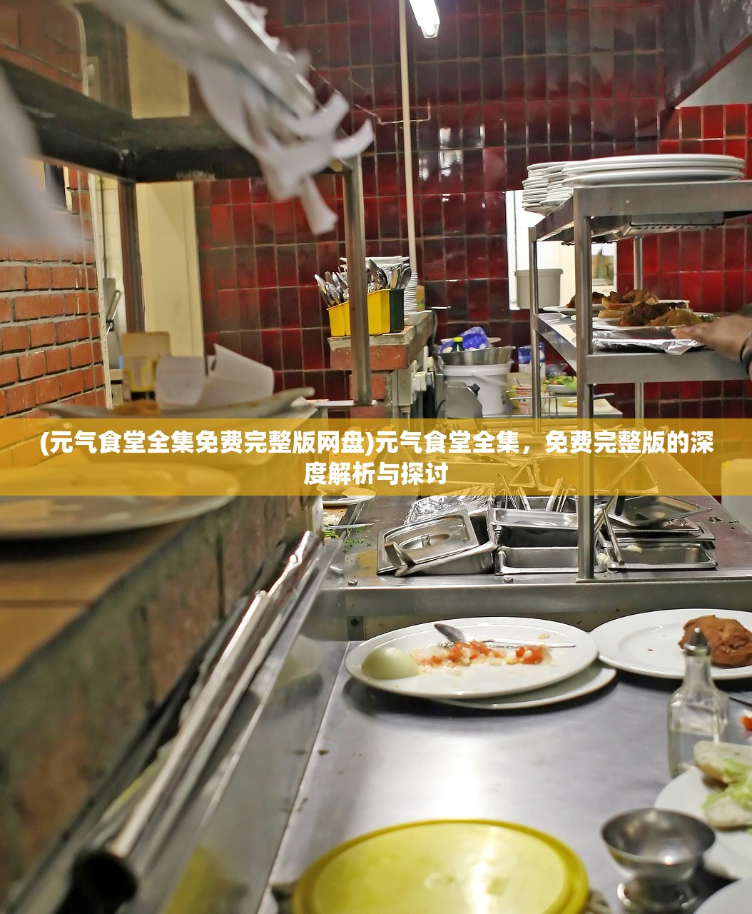 (元气食堂全集免费完整版网盘)元气食堂全集，免费完整版的深度解析与探讨