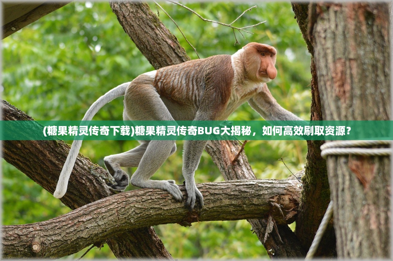 (糖果精灵传奇下载)糖果精灵传奇BUG大揭秘，如何高效刷取资源？