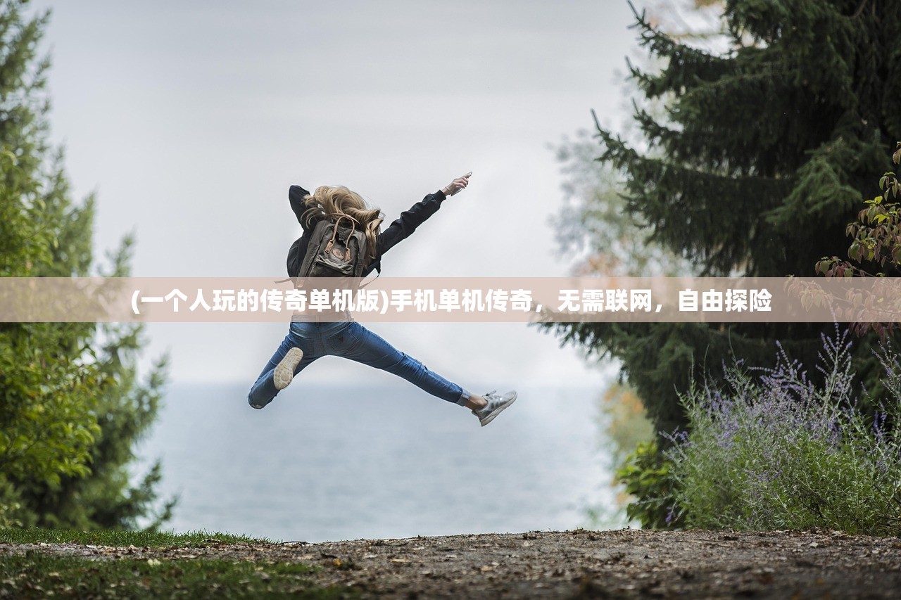 (一个人玩的传奇单机版)手机单机传奇，无需联网，自由探险