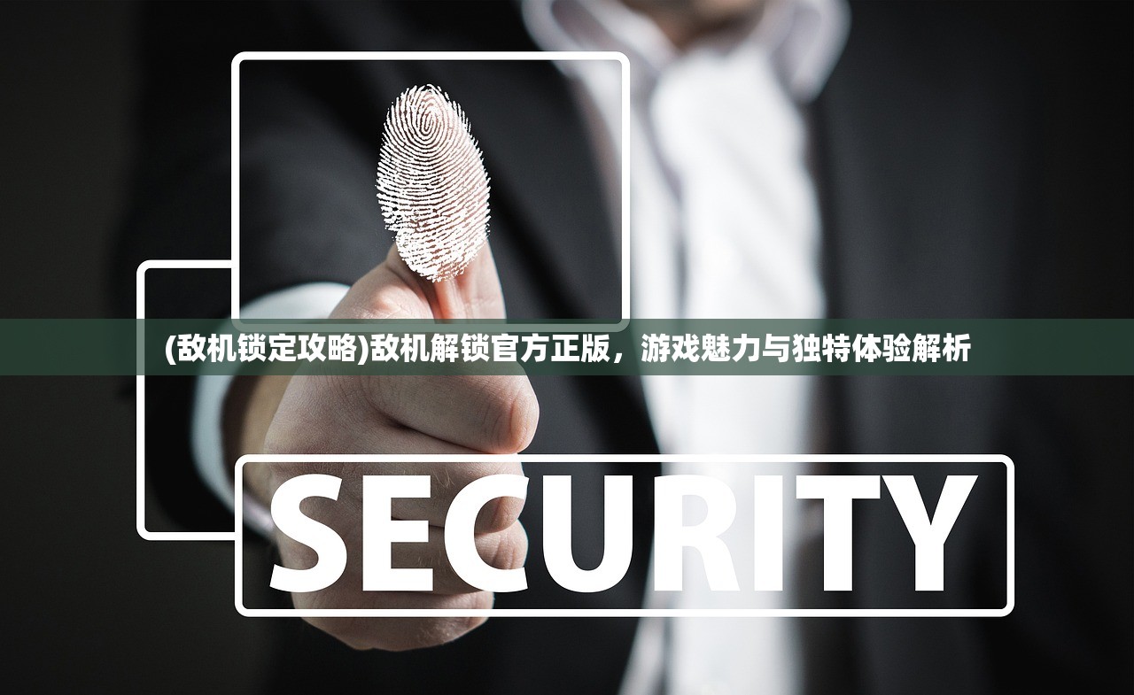 (敌机锁定攻略)敌机解锁官方正版，游戏魅力与独特体验解析