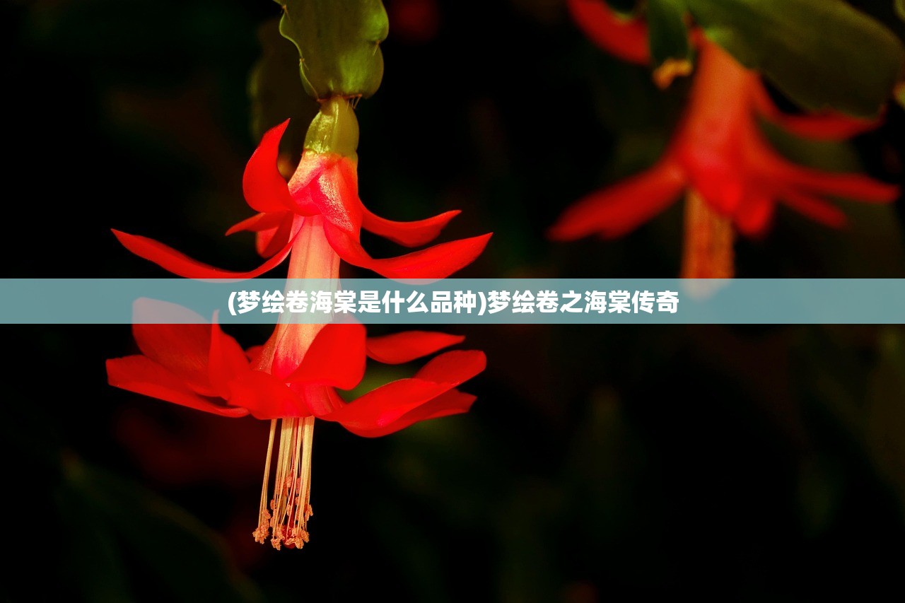 (梦绘卷海棠是什么品种)梦绘卷之海棠传奇