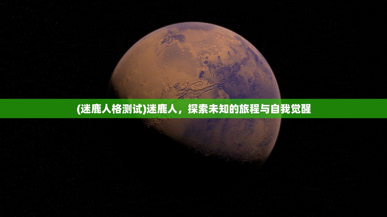 (迷鹿人格测试)迷鹿人，探索未知的旅程与自我觉醒