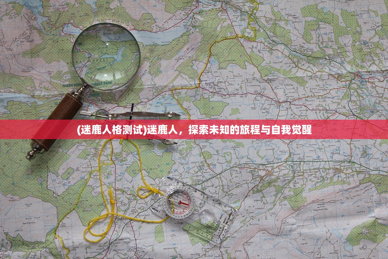 (迷鹿人格测试)迷鹿人，探索未知的旅程与自我觉醒