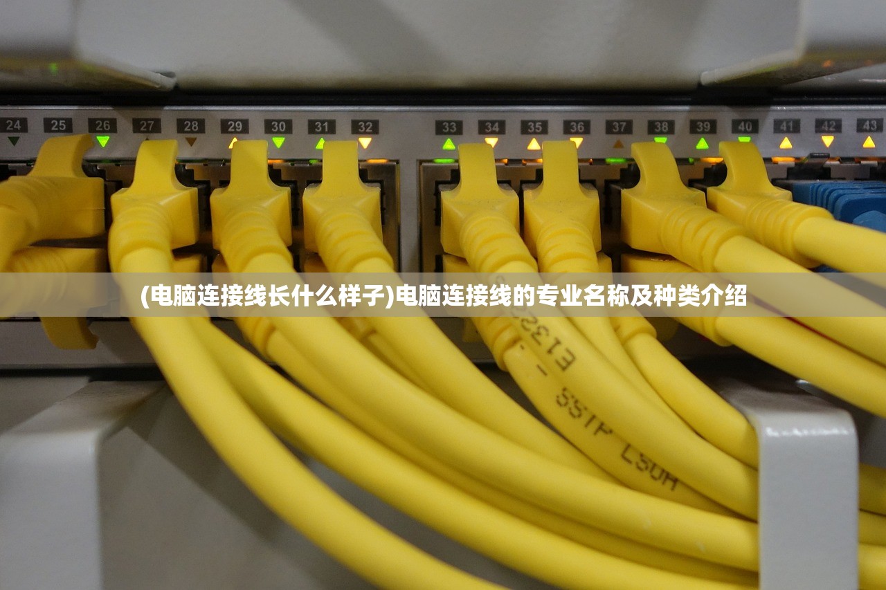 (电脑连接线长什么样子)电脑连接线的专业名称及种类介绍