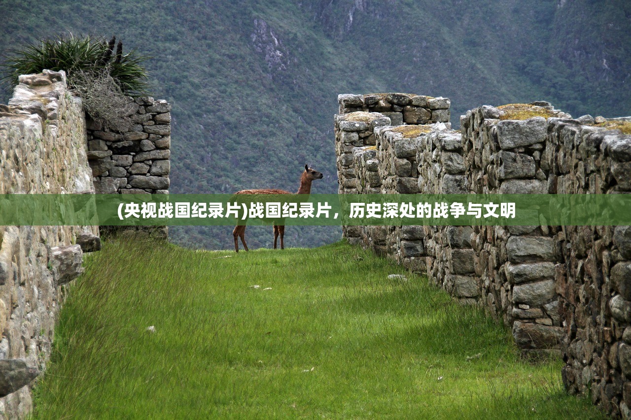 (央视战国纪录片)战国纪录片，历史深处的战争与文明