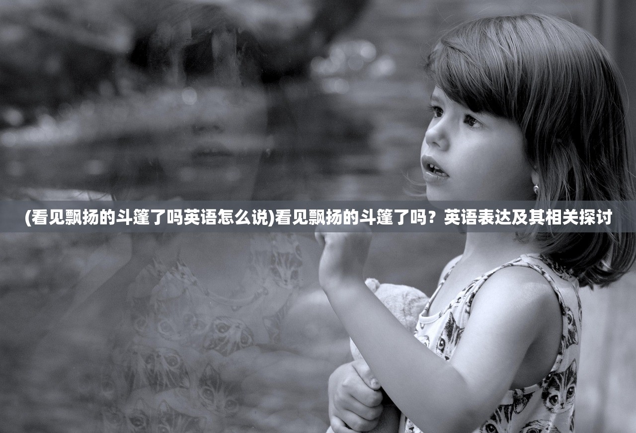 (看见飘扬的斗篷了吗英语怎么说)看见飘扬的斗篷了吗？英语表达及其相关探讨