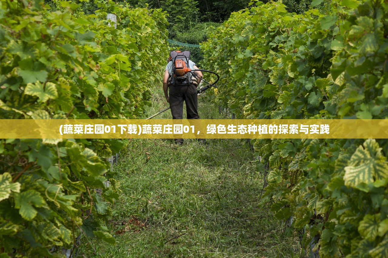 (蔬菜庄园01下载)蔬菜庄园01，绿色生态种植的探索与实践