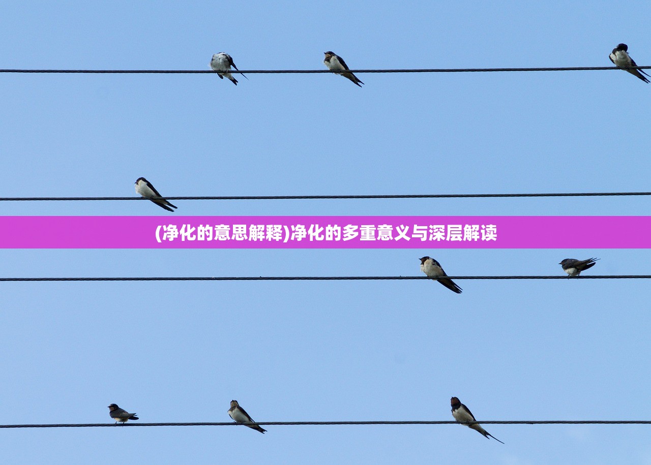 (净化的意思解释)净化的多重意义与深层解读