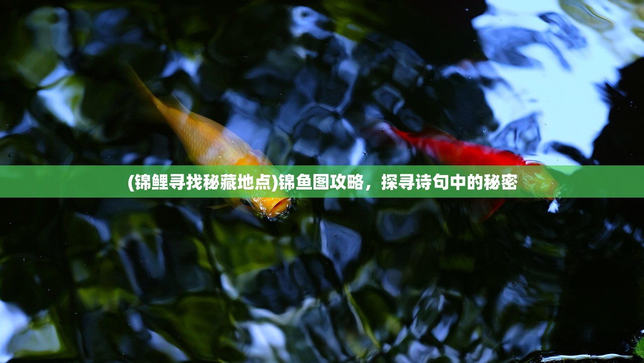 (锦鲤寻找秘藏地点)锦鱼图攻略，探寻诗句中的秘密