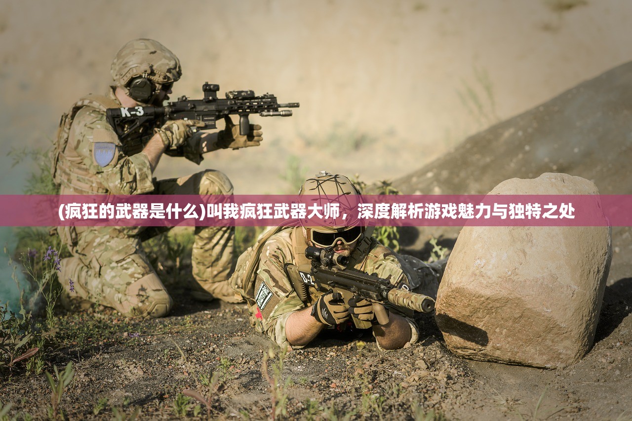 (疯狂的武器是什么)叫我疯狂武器大师，深度解析游戏魅力与独特之处