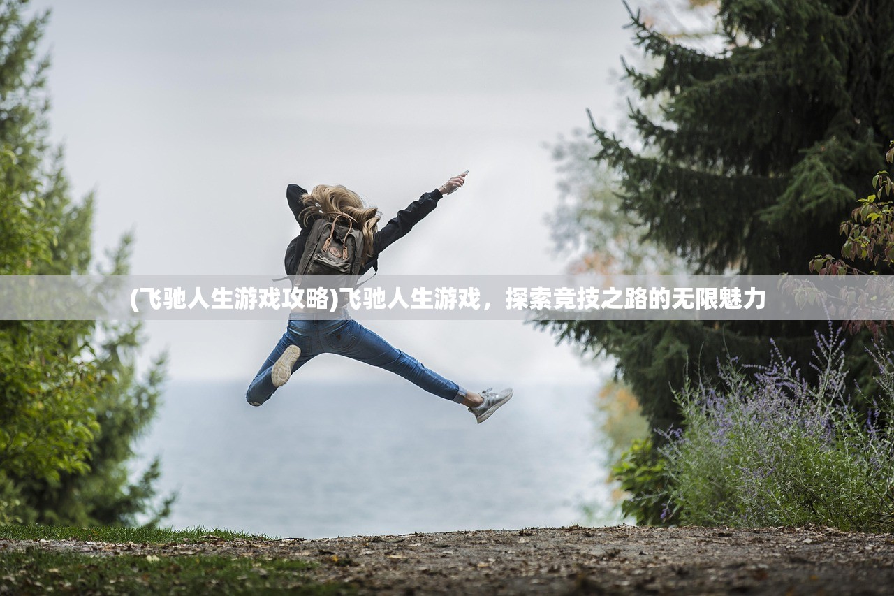 (飞驰人生游戏攻略)飞驰人生游戏，探索竞技之路的无限魅力