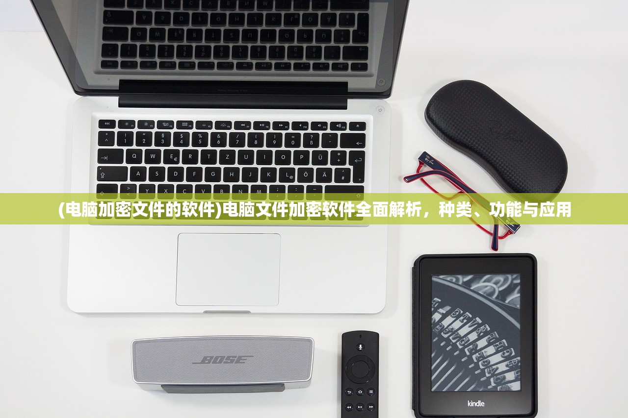 (电脑加密文件的软件)电脑文件加密软件全面解析，种类、功能与应用