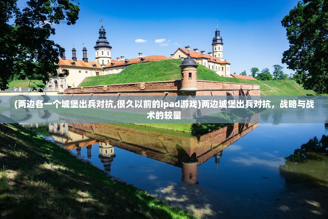 (两边各一个城堡出兵对抗,很久以前的ipad游戏)两边城堡出兵对抗，战略与战术的较量