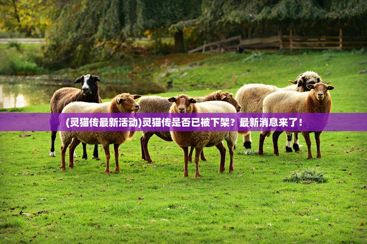 (灵猫传最新活动)灵猫传是否已被下架？最新消息来了！