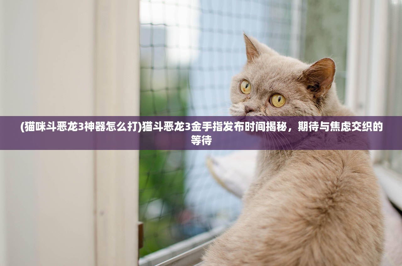 (猫咪斗恶龙3神器怎么打)猫斗恶龙3金手指发布时间揭秘，期待与焦虑交织的等待