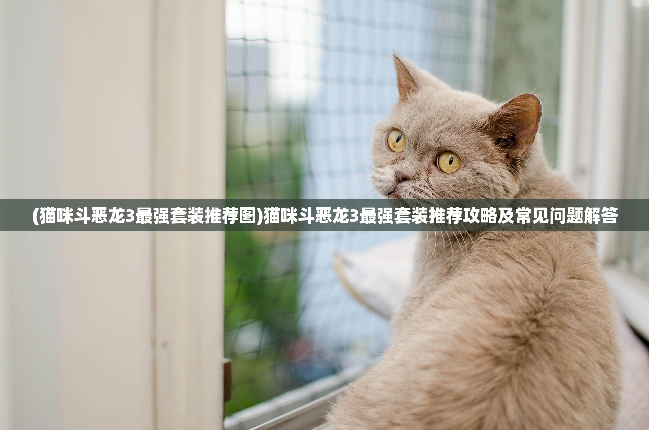 (猫咪斗恶龙3最强套装推荐图)猫咪斗恶龙3最强套装推荐攻略及常见问题解答