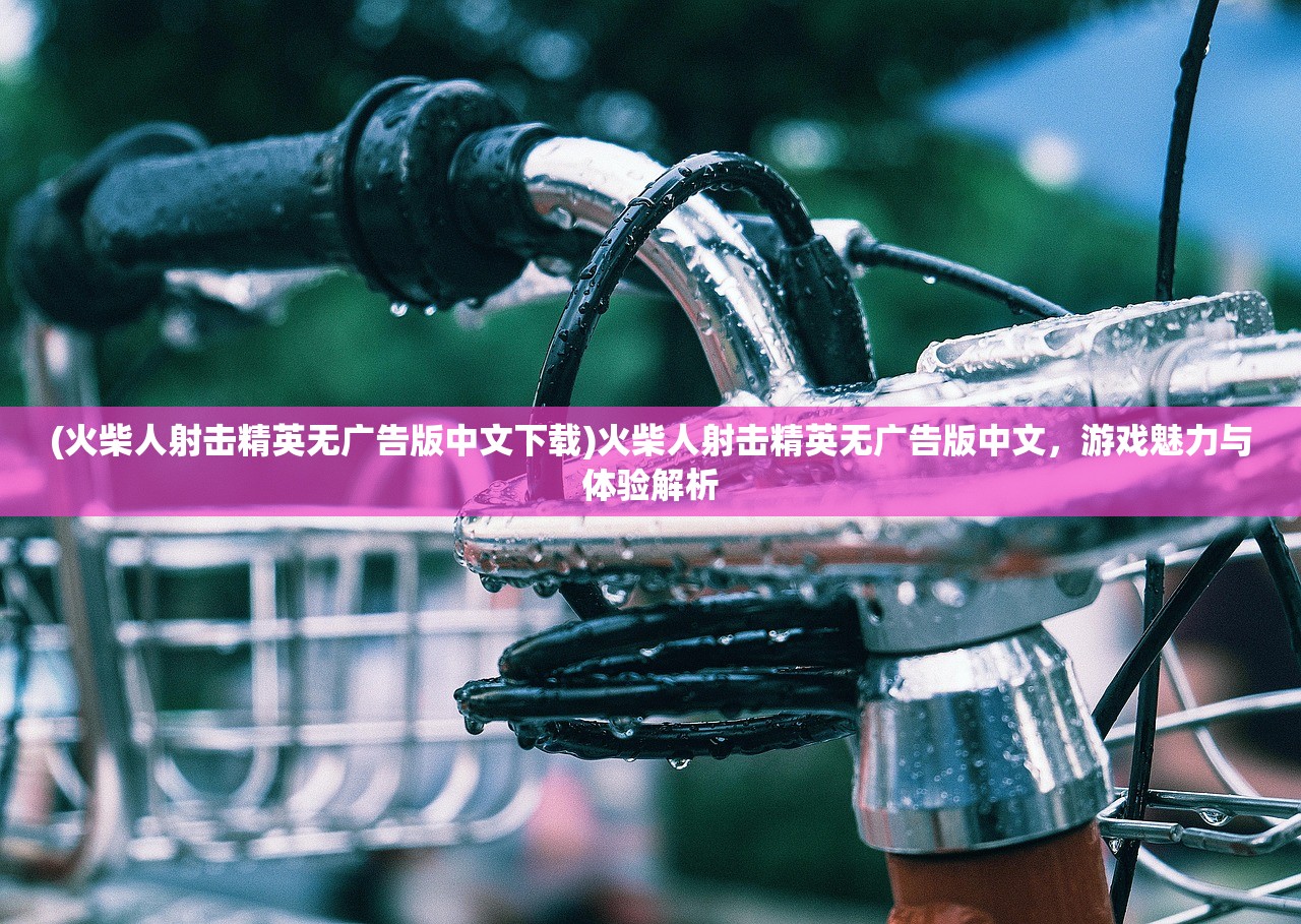 (火柴人射击精英无广告版中文下载)火柴人射击精英无广告版中文，游戏魅力与体验解析