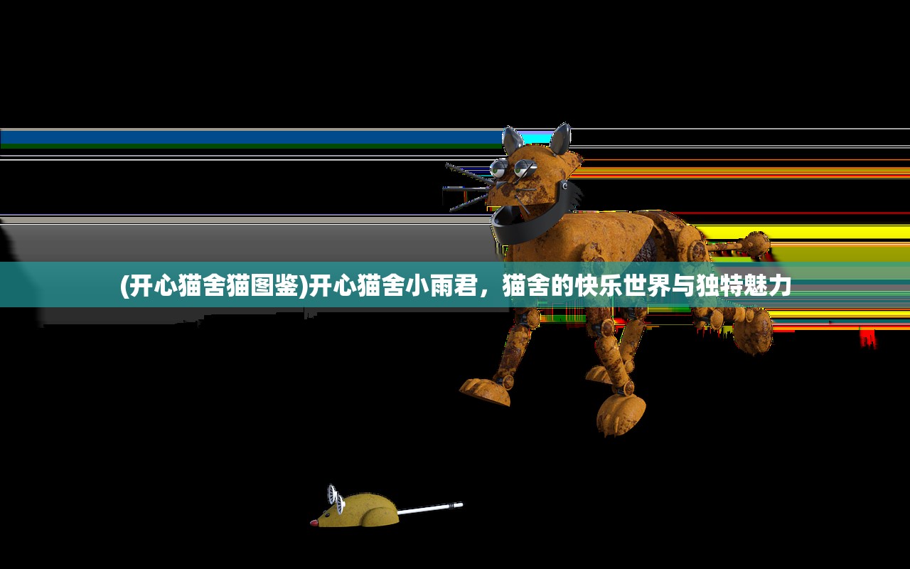 (开心猫舍猫图鉴)开心猫舍小雨君，猫舍的快乐世界与独特魅力